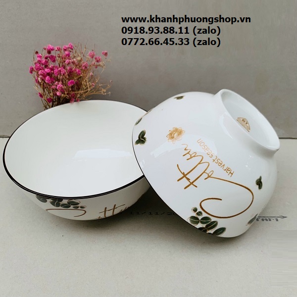 chén sứ, tô sứ, dĩa sứ - chén tô dĩa sứ đẹp