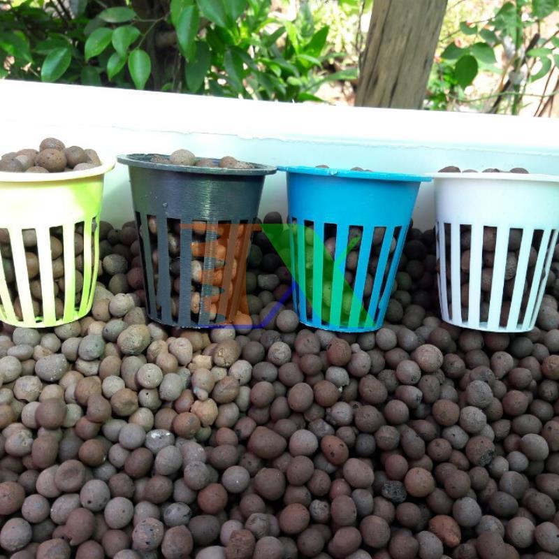 Set 50 gabion hydroponic growing (gabion plastic hydroponic, Cup hydroponic) dedicated, độ durable, smart design handy