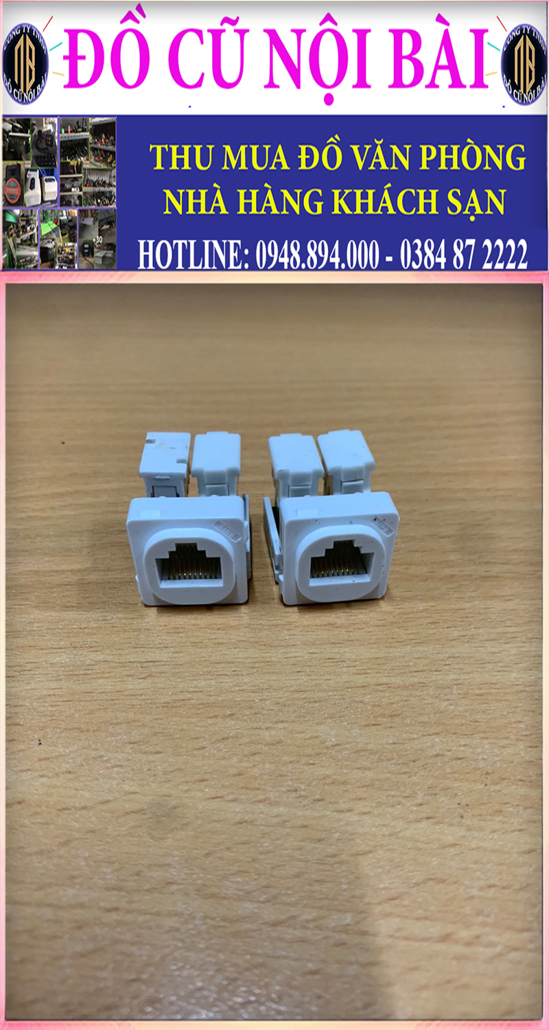 Nhân Mạng Âm Tường Cat5e - Hạt mạng WEV2488SW Panasonic, Vanlock, Commscope