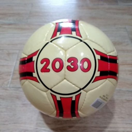 [HCM]Banh 2030 GERU STAR may Banh CHÌ ( TẶNG KIM BƠM TÚI LƯỚI )