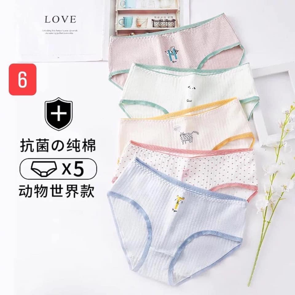 SET 5 QUẦN CHIP KHÁNG KHUẨN