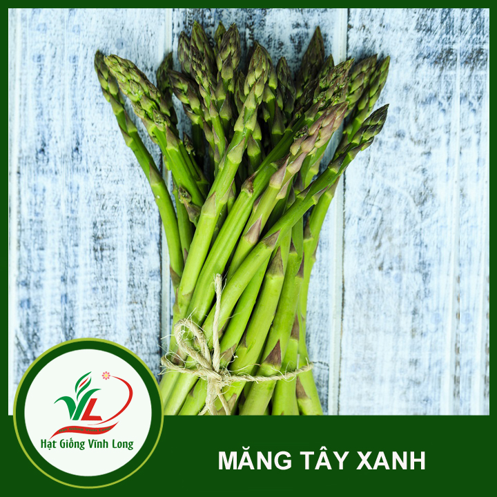 Hạt giống Măng tây xanh RD 636 - 0,2g