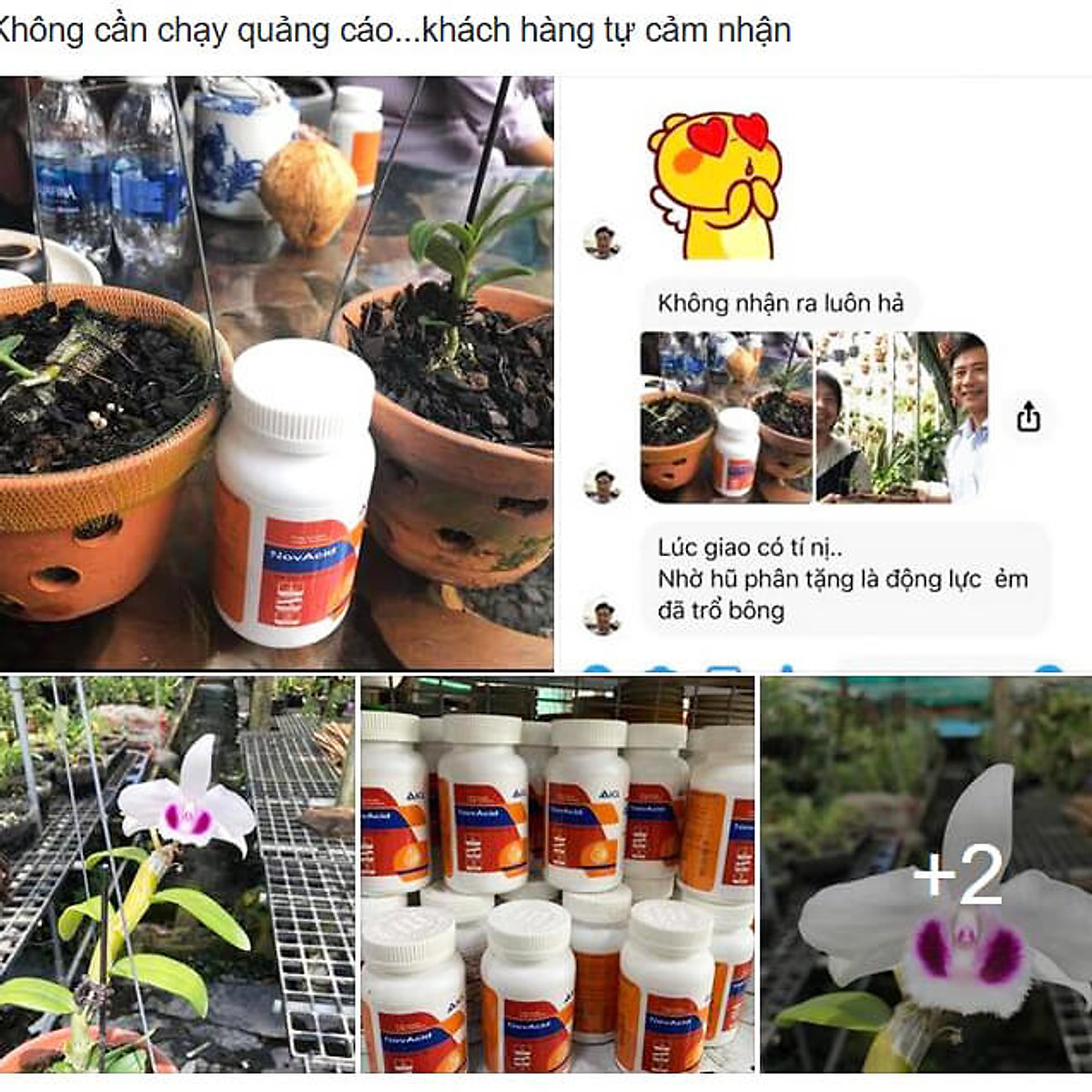 [HCM]Phân bón hòa tan Israel Novacid 12-40-36+3CaO+Te Hoà tan 100% sử dụng cho hệ thống tưới nhỏ giọt và tưới phun. Hạn chế rụng trái non thúc hoa ra màu đẹp và tăng sức đề kháng cho cây trồng