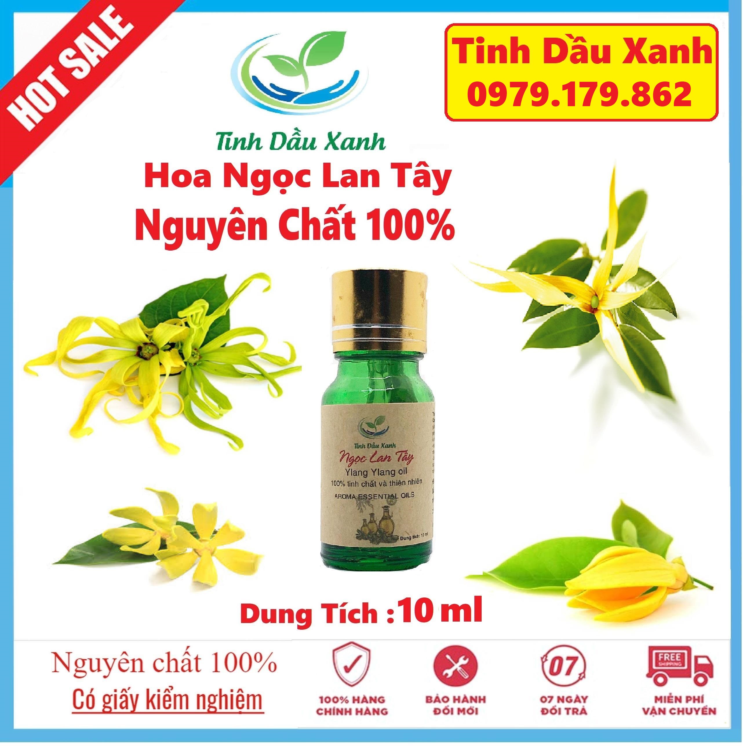 Tinh Dầu Ngọc Lan Tây Nguyên Chất 10ml