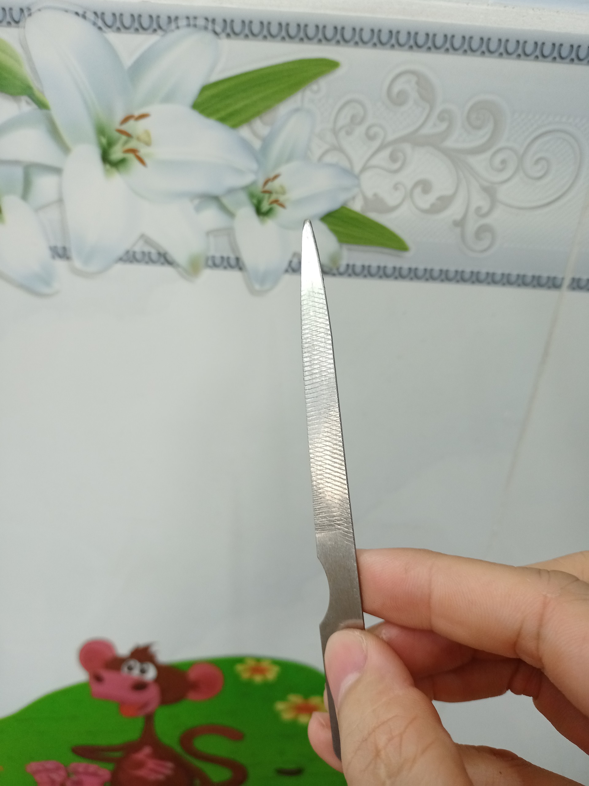 Dữa sắt dùng để lấy khóe móng chân cho salon nail