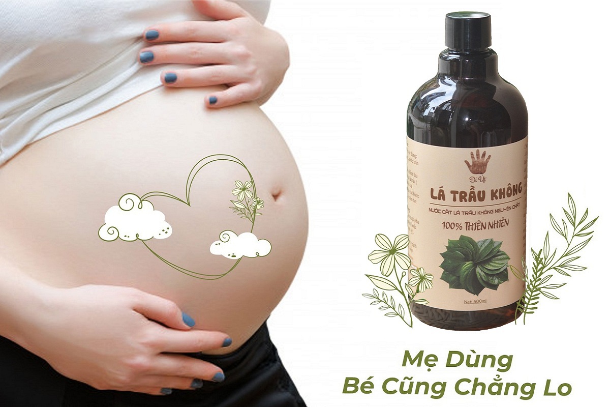 Hydrosol lá trầu không nguyên chất