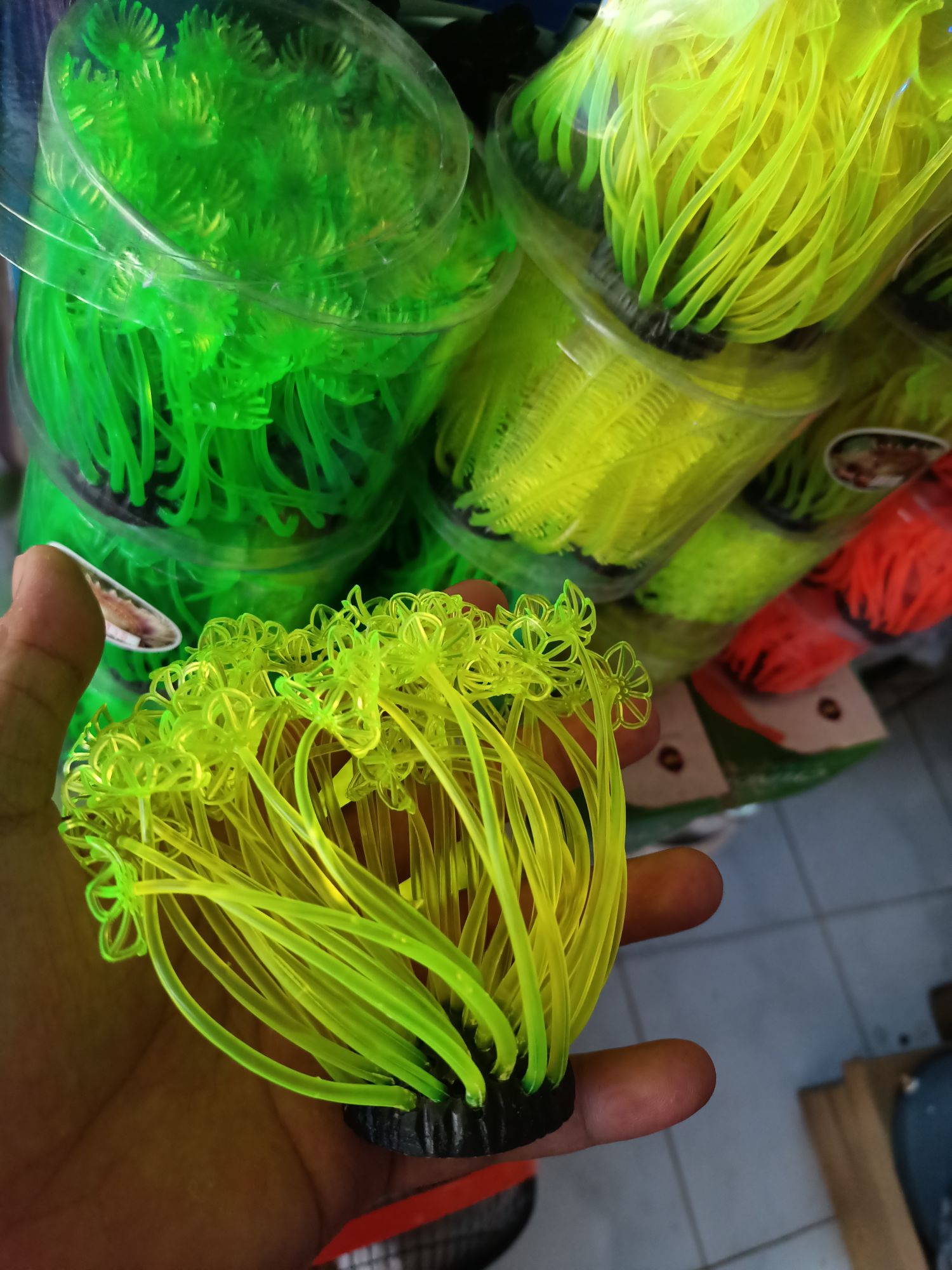 Rong Nhựa Trang trí Hồ Cá Cảnh.