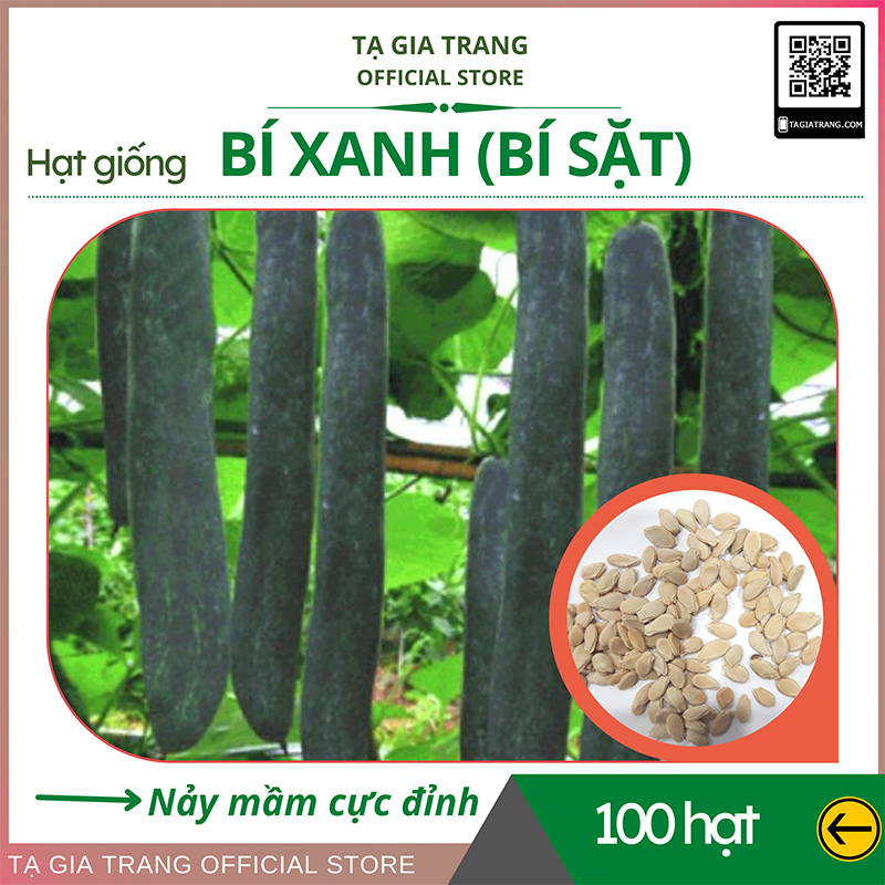 Hạt giống bí sặt cao sản