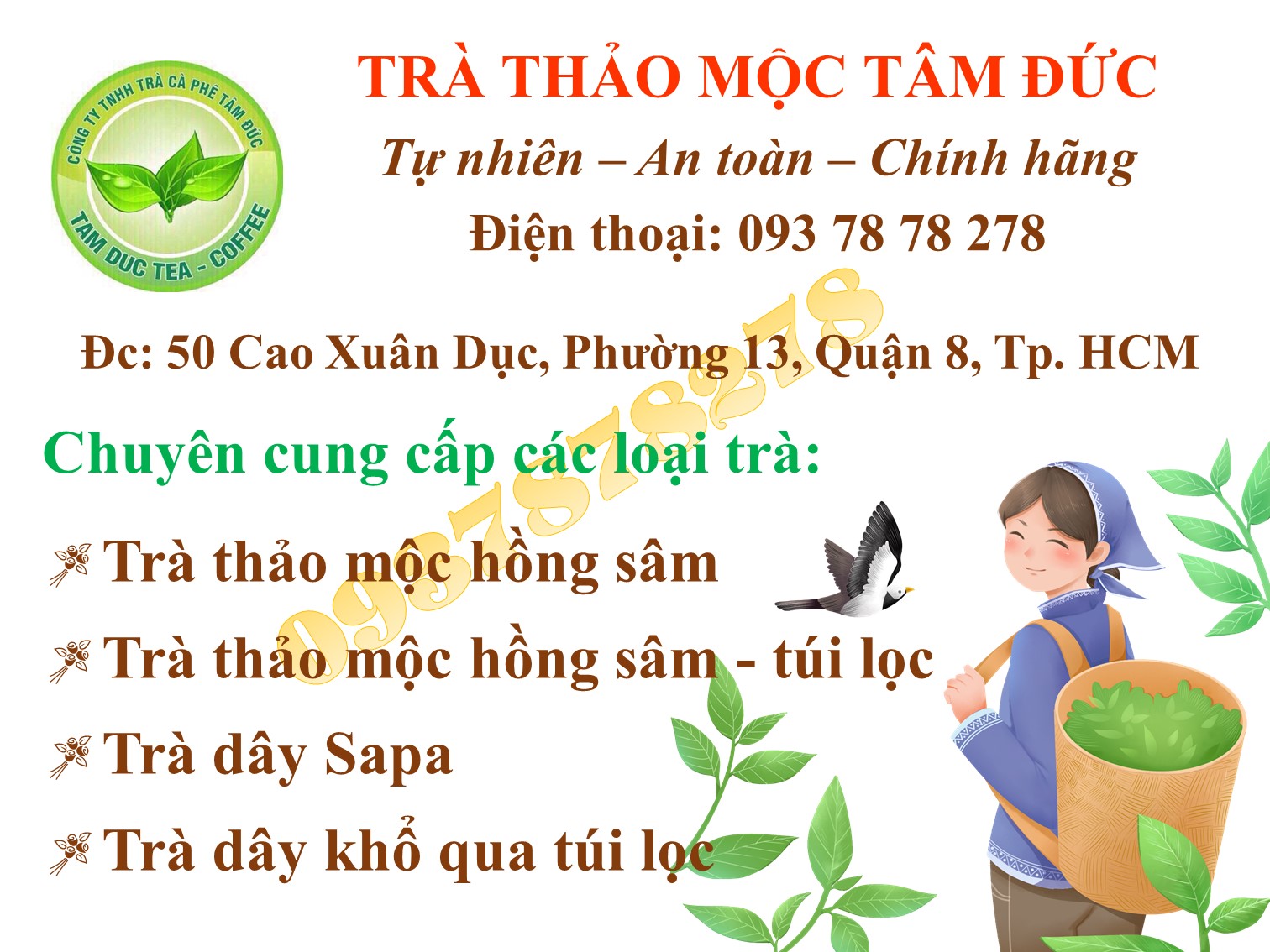 [HCM]Combo 5 gói trà thảo mộc hồng sâm tâm đức