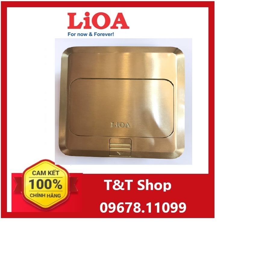 Ổ CẮM ÂM SÀN LIOA (Ổ ÂM SÀN CÓ  Ô CẮM ĐÔI 3 CHẤU)