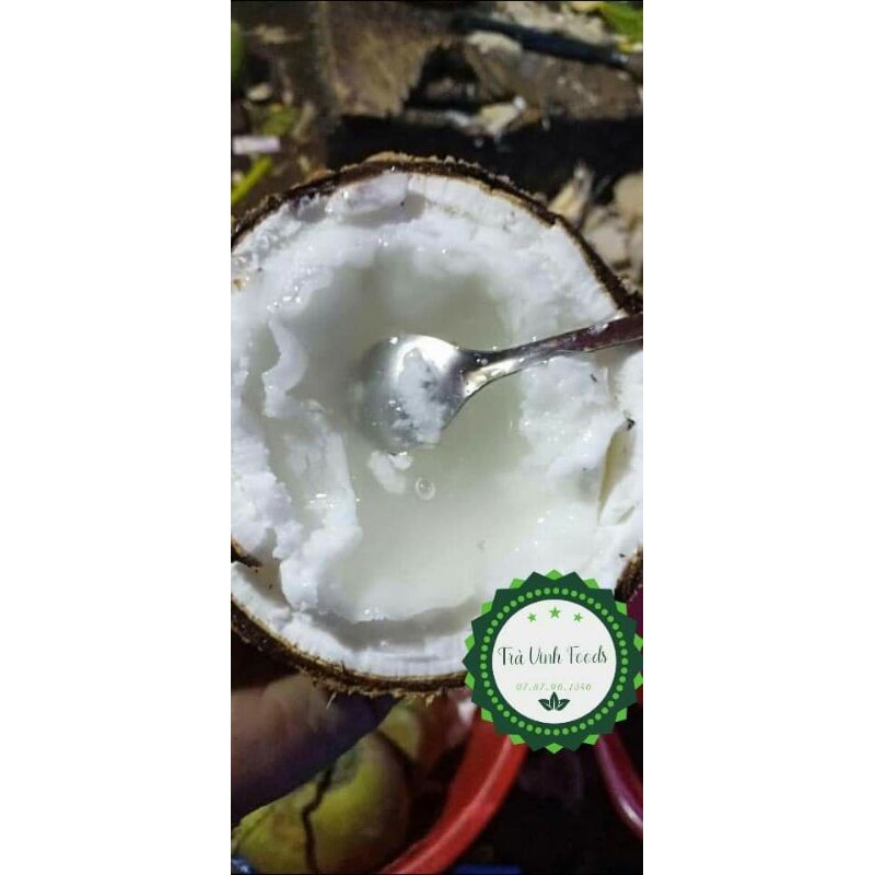 Dừa Sáp Sệt, Cơm vừa Nước Sệt (1_1.3kg)