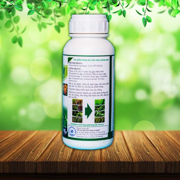 Xì mủ trên cây sầu riêng