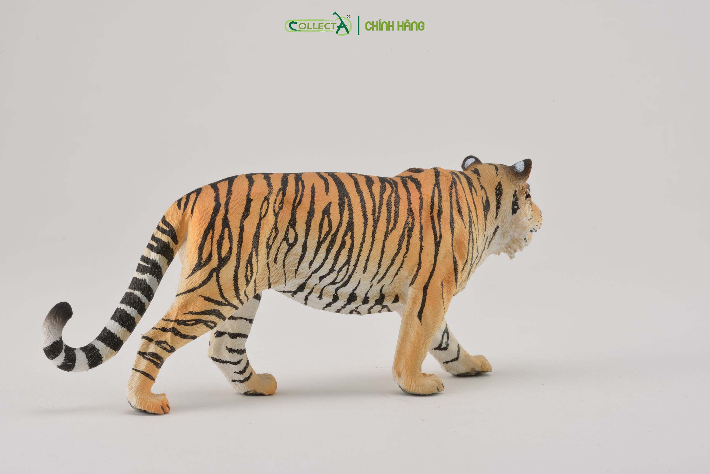Đồ chơi mô hình động vật CollectA Hổ - Siberian Tiger