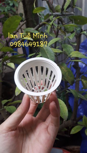 Bộ 100 rọ trồng thủy canh (100 rọ nhựa thủy canh) chuyên dụng