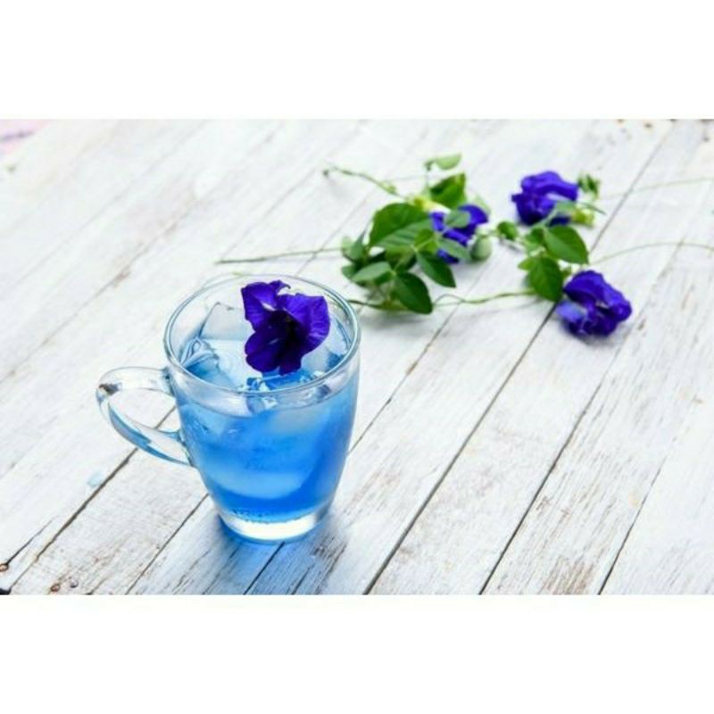 [HCM]Hạt giống hoa đậu biếc dễ trồng