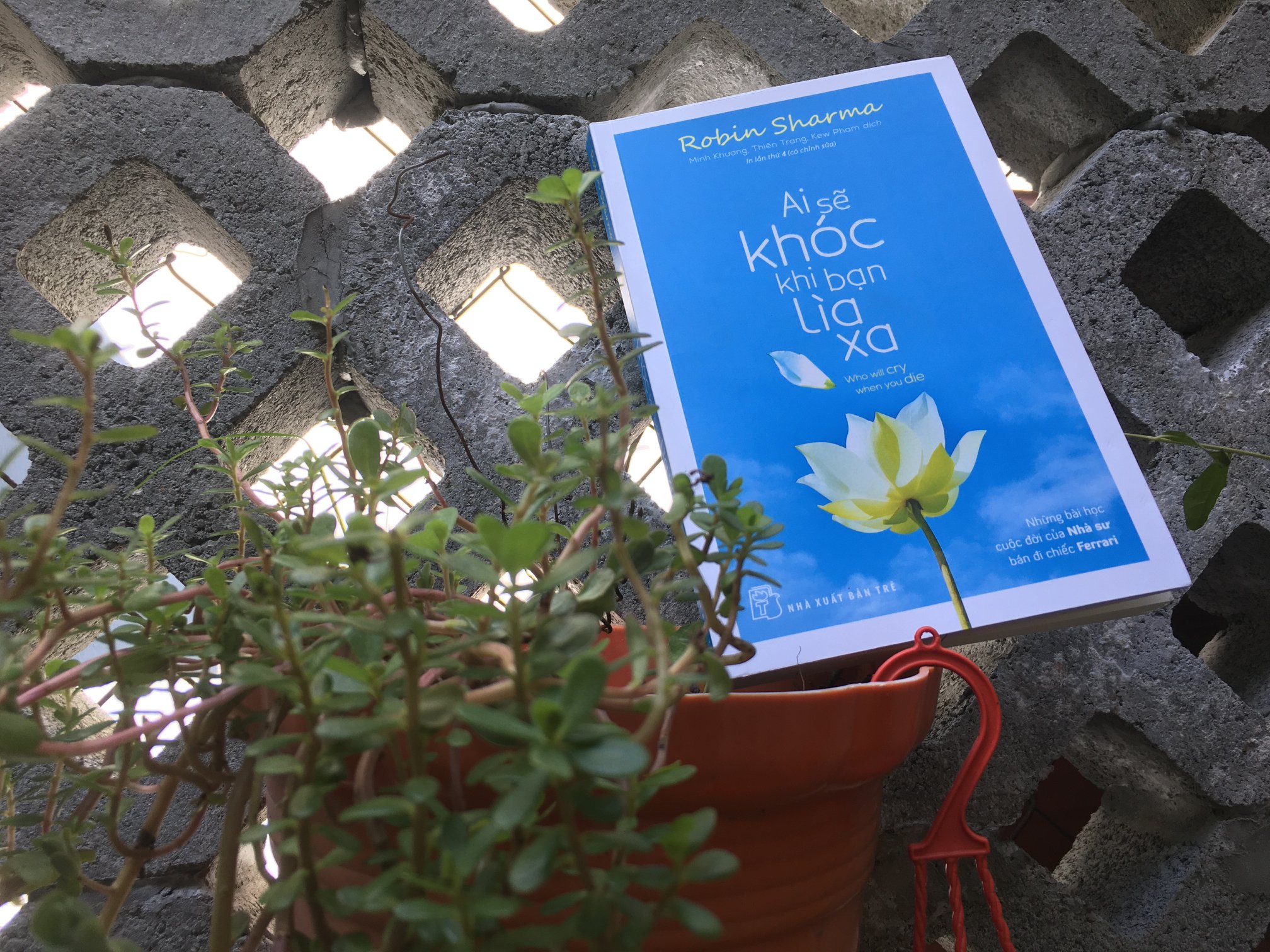 Sách - Ai sẽ khóc khi bạn lìa xa (Robin Sharma)