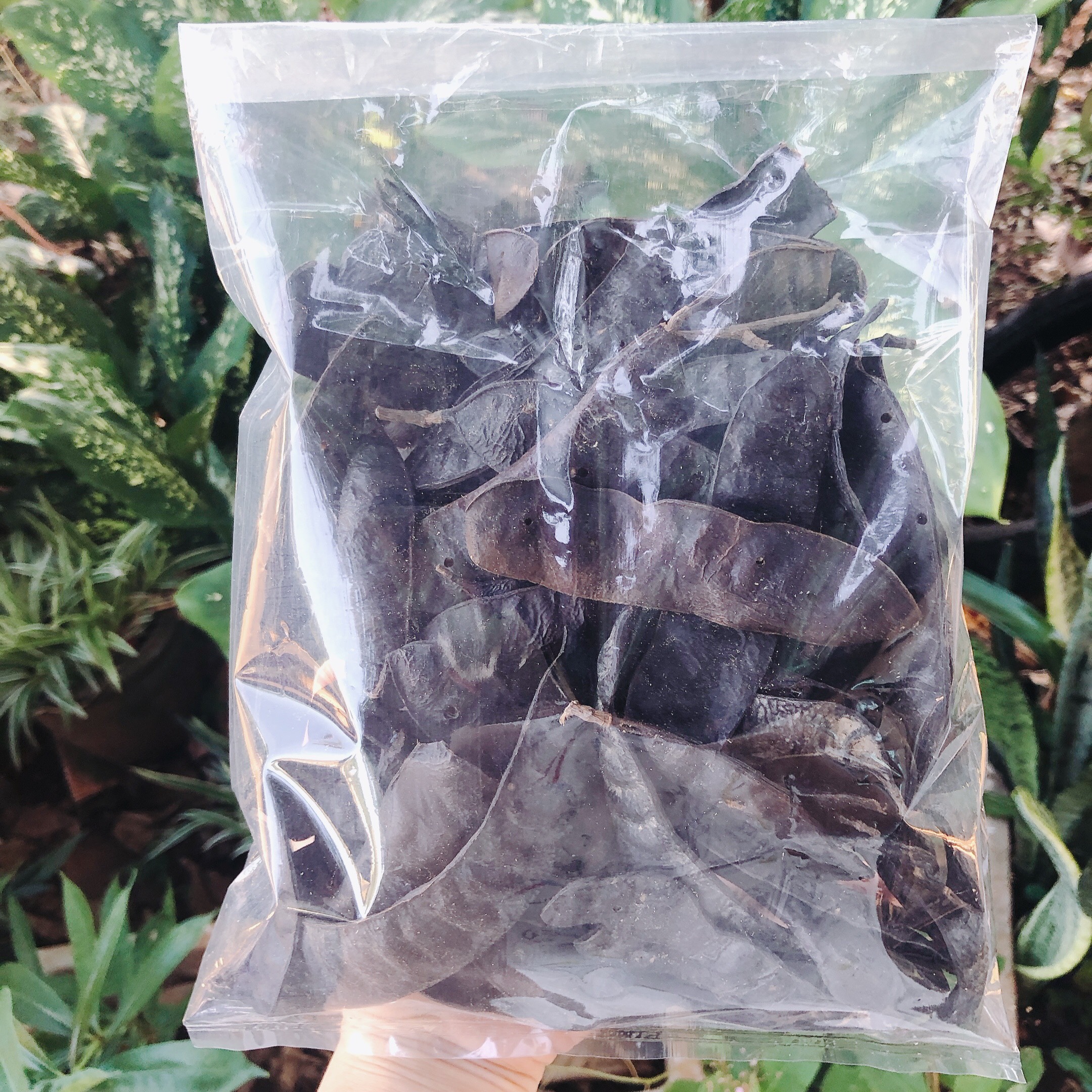 200g Bồ kết trái khô