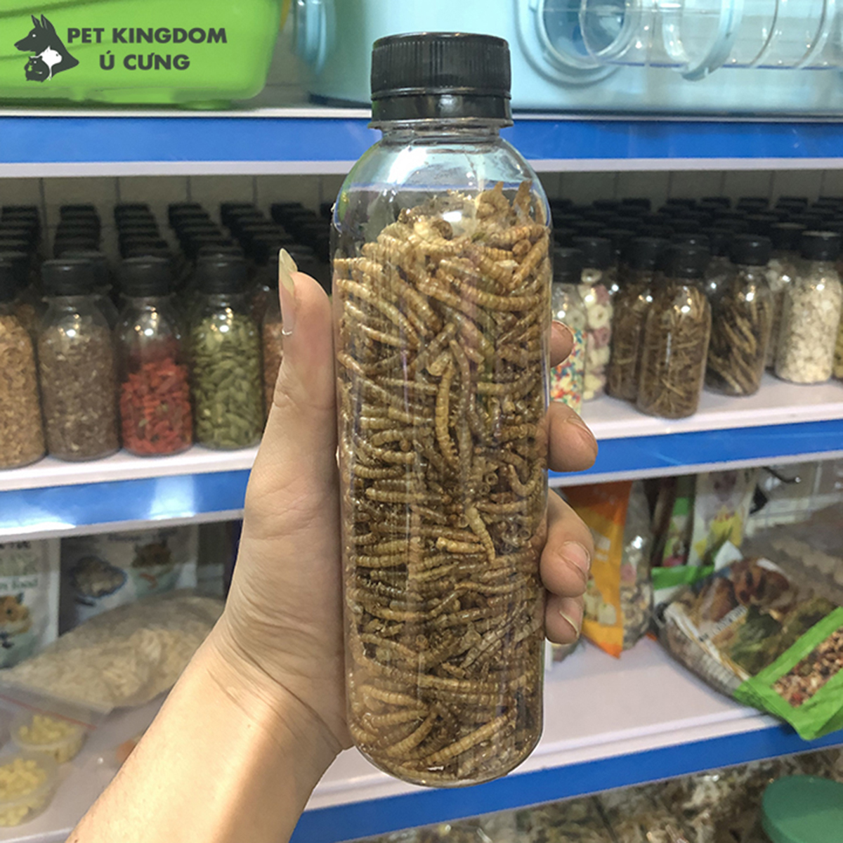 Sâu Sấy Khô Cho Hamster Lọ 330ml 65gr