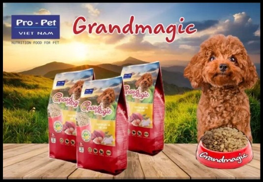 [HCM]Thức ăn hạt cao cấp cho Chó. Grand Magic Poodle 1kg.