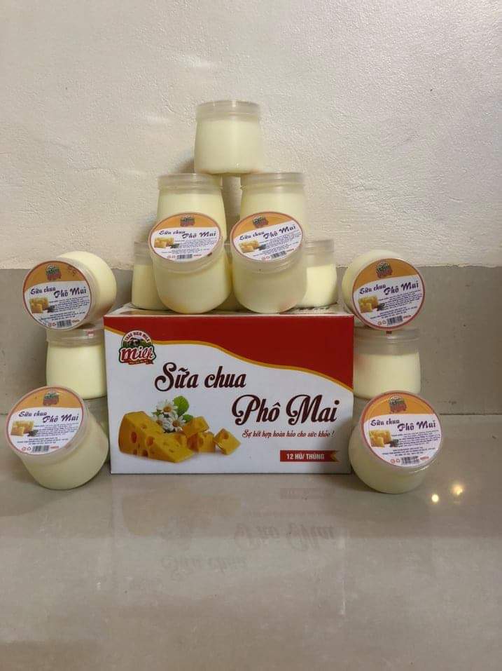 SỮA CHUA Nếp cẩm,Phô mai,Chanh dây