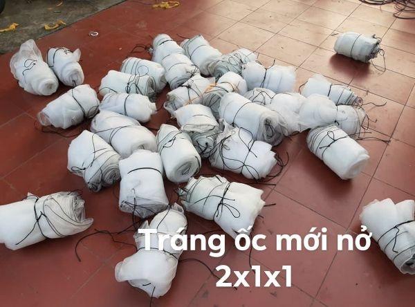 tráng nuôi ốc nhồi 2x1x1