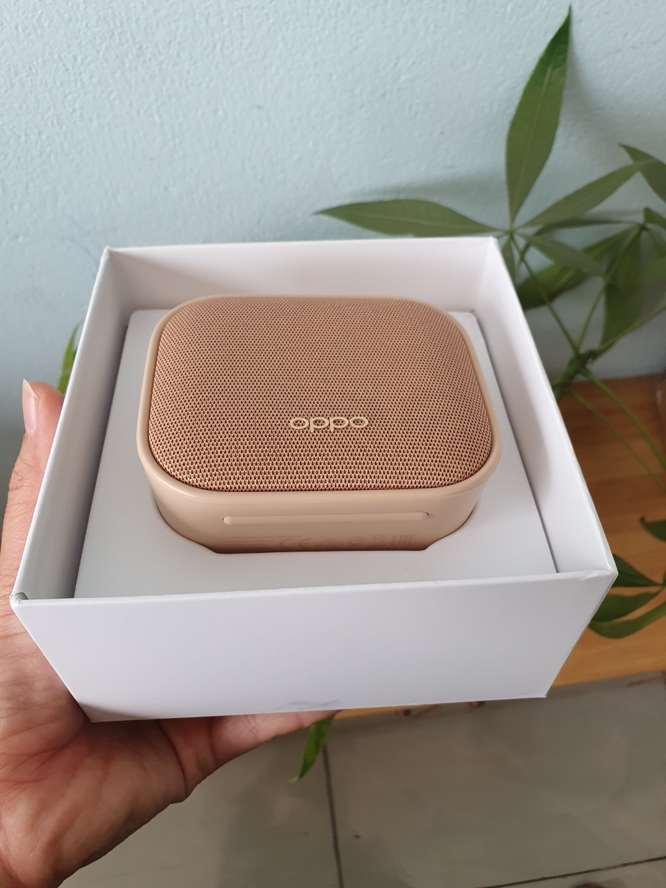 LOA KHÔNG DÂY OPPO OBMC03