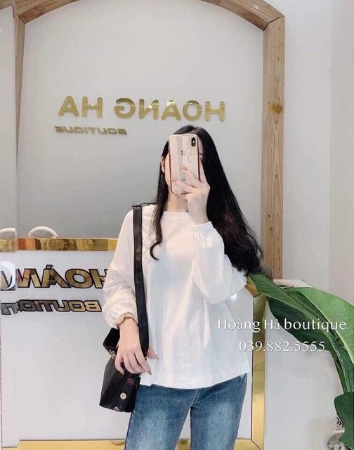 Áo chun tay nhiều màu HARI1119