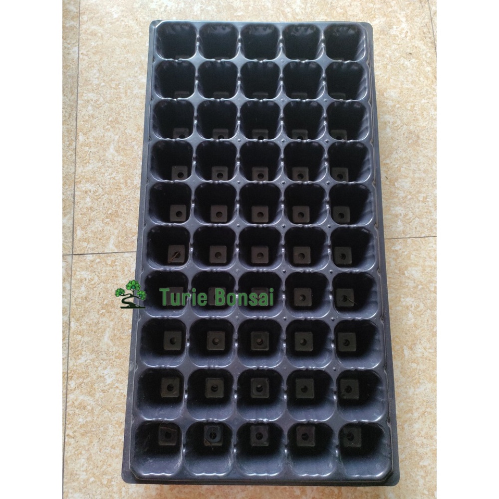 Khay ươm mầm vỉ ươm hạt cây mầm các cỡ