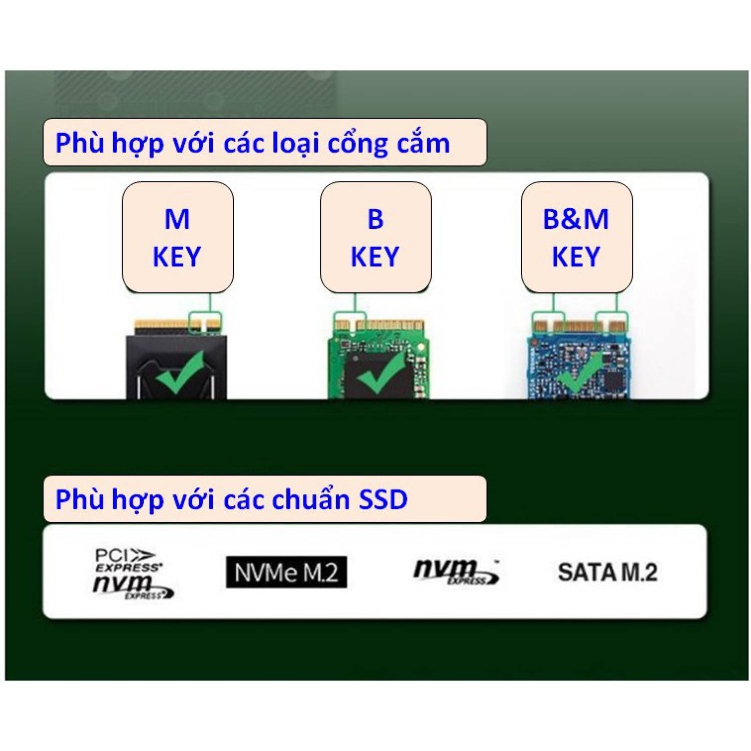 Card chuyển SSD M2 NVME to PCIE