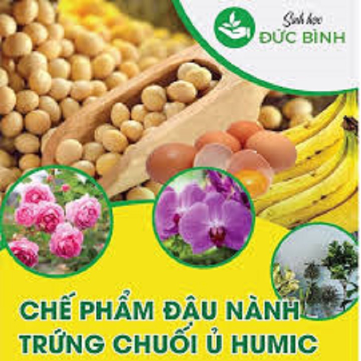 combo phân bón đậu tương ủ+dịch chuối đậm đặc +humic
