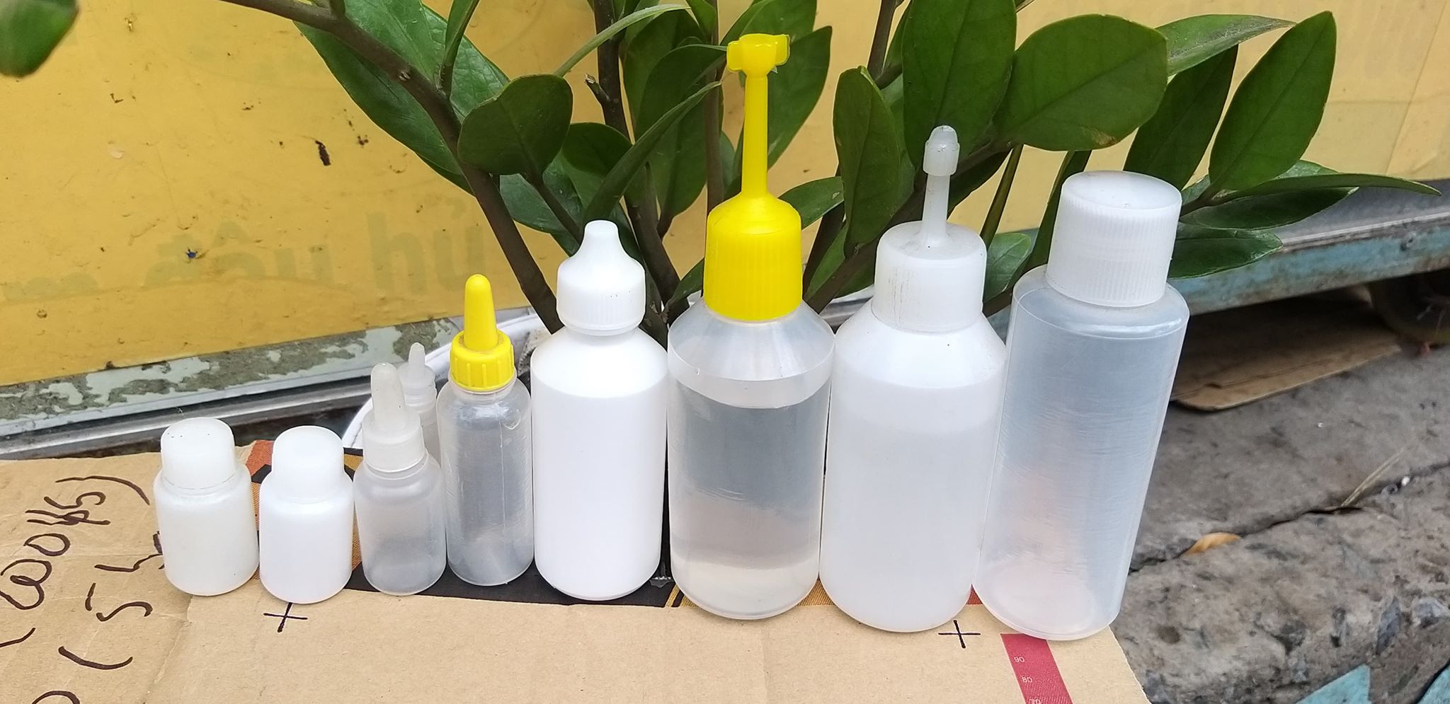 100 HỦ NHỰA 50ML