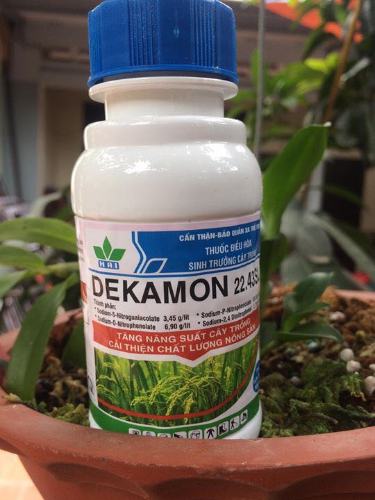 Phân bón kích thích sinh trưởng cây trồng DEKAMON 100ml giảm chỉ còn 65,000 đ