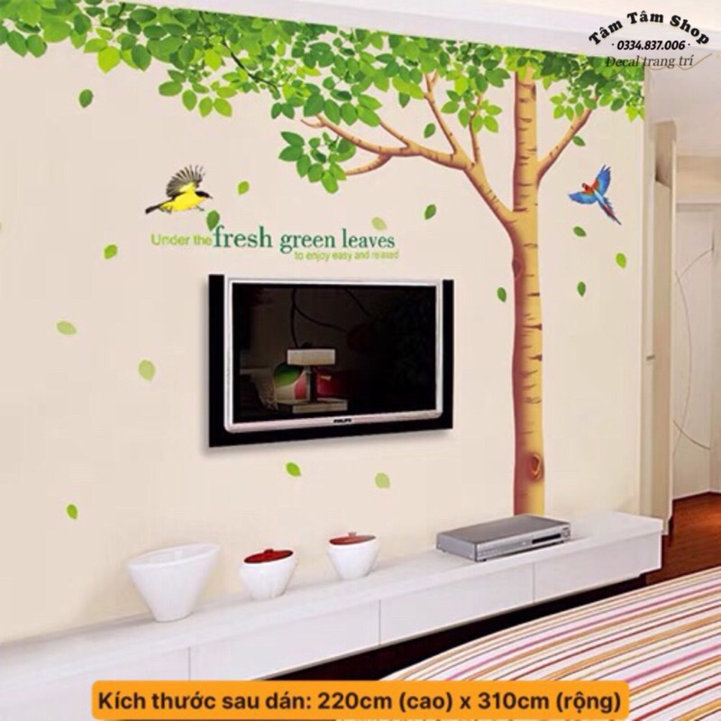 Decal dán tường cây xanh cỡ to trang trí phòng khách.