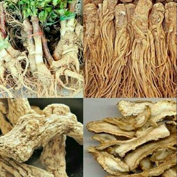 1kg sâm quy khô
