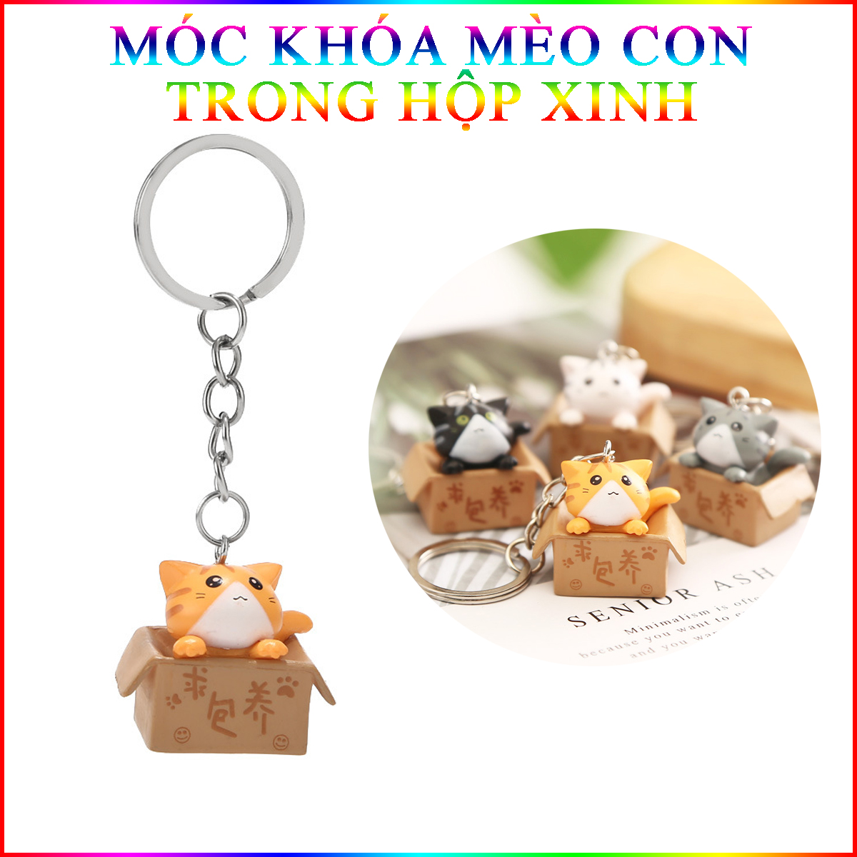Móc khóa mèo con trong hộp nhiều màu