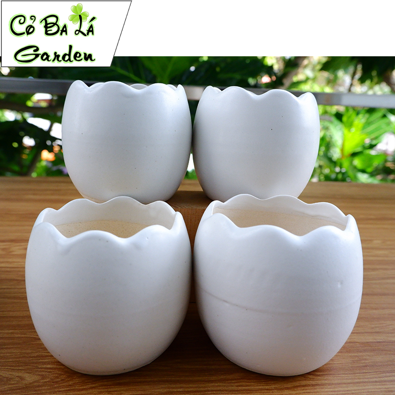 chậu sứ bát tràng Hình Trứng 8x8cm