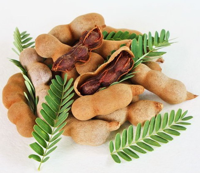 Cây Me Ngọt Thái Lan (loại to)