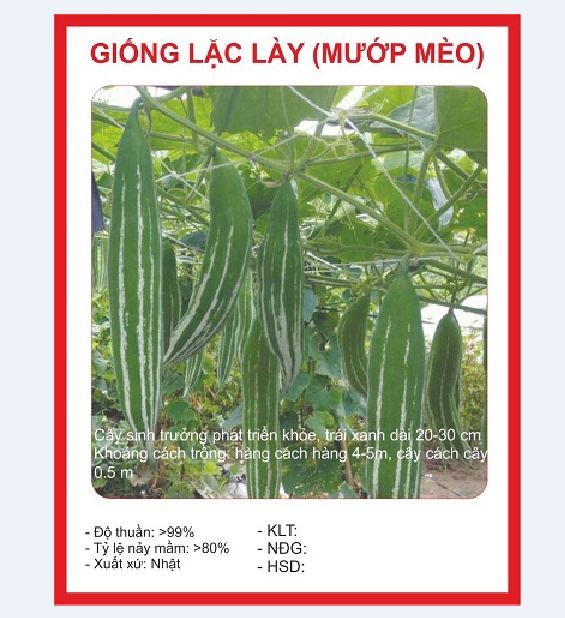Hạt giống lặc lầy - 10 hạt