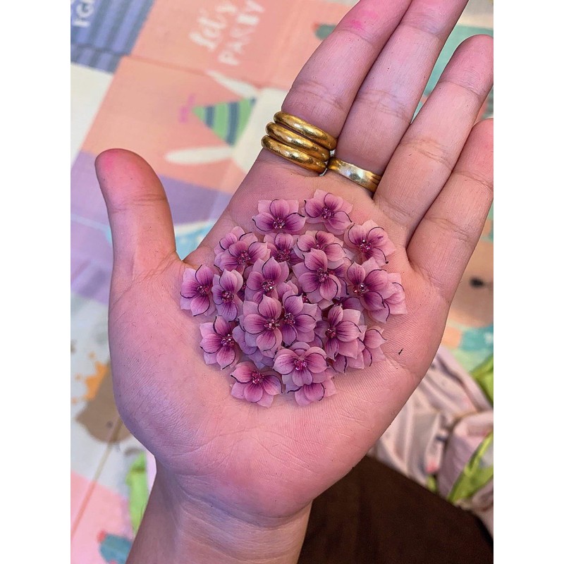 Hoa cúc nhọn đính nail, hoa bột gắn móng tay siêu xinh MOON NAIL