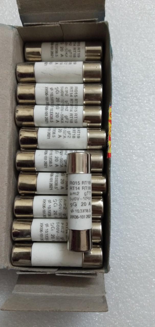 10 Cầu chì sứ 20A 500v