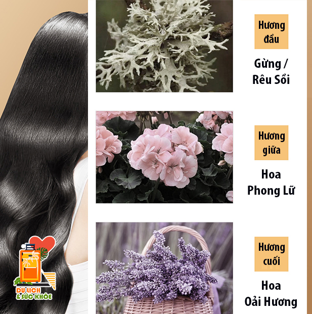 [Set nhỏ du lịch] Dầu Gội Dầu Xả Tinh Chất Gừng Sadoer Kích Thích Mọc Tóc, Giảm Gãy Rụng, Sạch Gàu, Dưỡng Tóc Khỏe Mượt