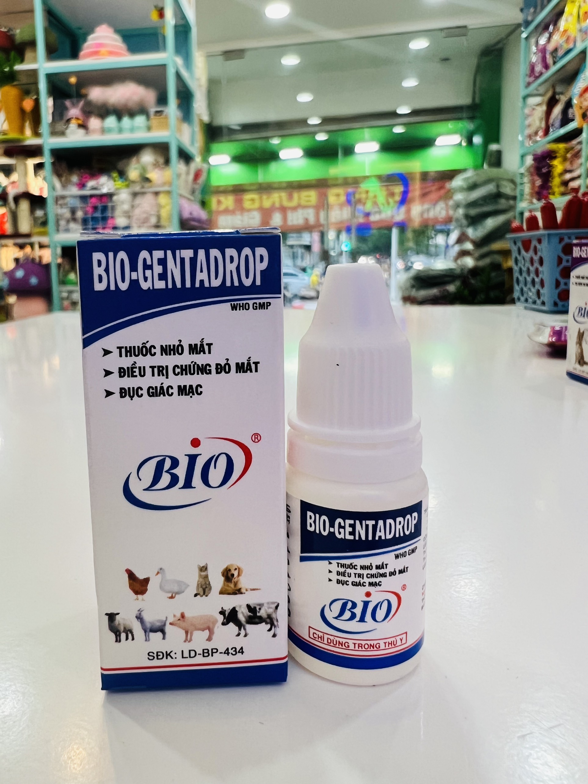 Nhỏ mắt cho chó mèo Bio Genta Drop