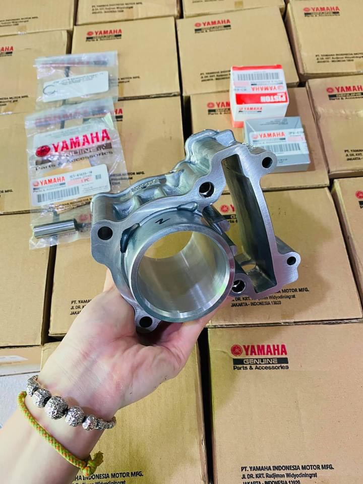 Lòng vision 57 gắn cho ex135 , ex 150