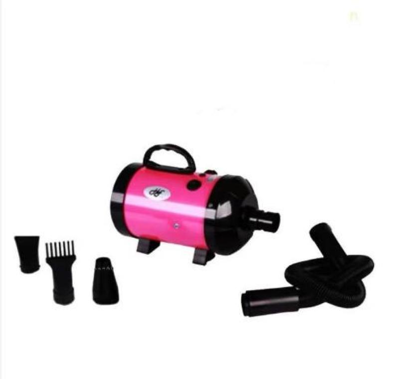 Máy Sấy Công Suất 2200W cho Chó Mèo kèm quà tặng 3 món màu ngẫu nhiên