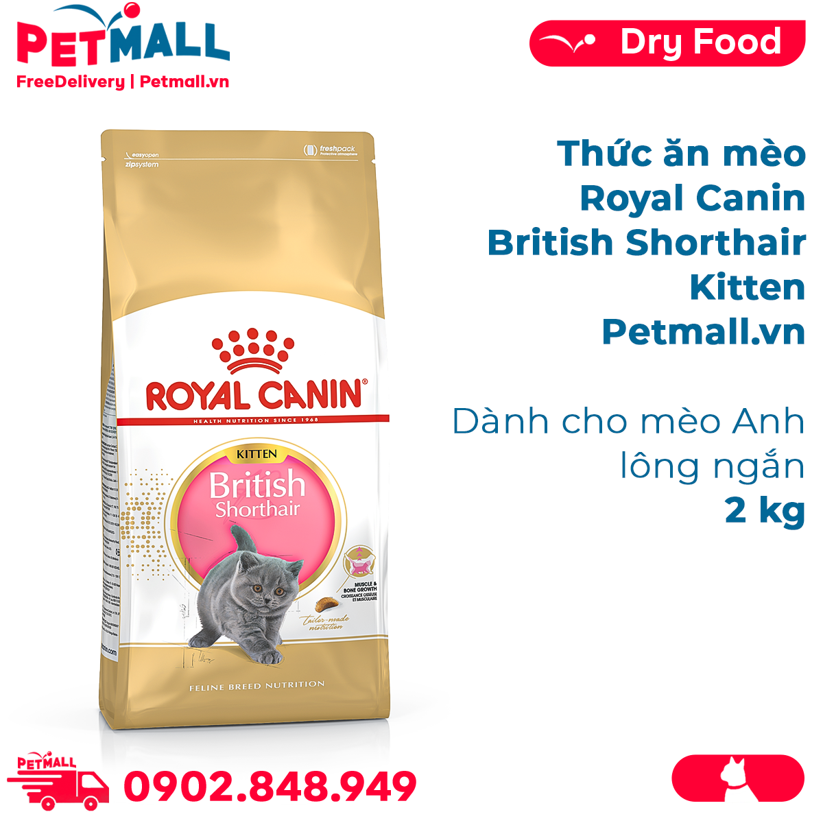 Thức ăn mèo Royal Canin British Shorthair Kitten 2kg - Mèo Anh lông ngắn Petmall