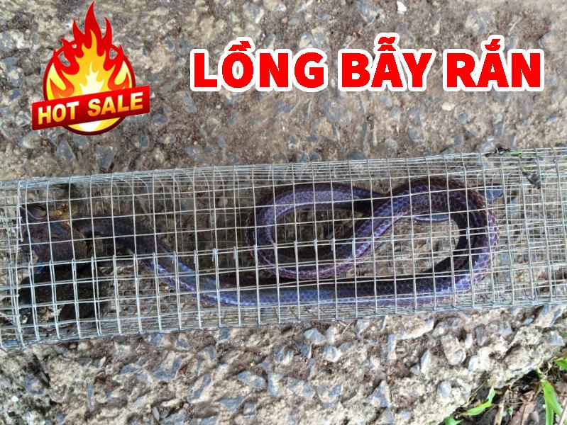 Lồng bẫy rắn size 80cm x 15cm giá rẻ