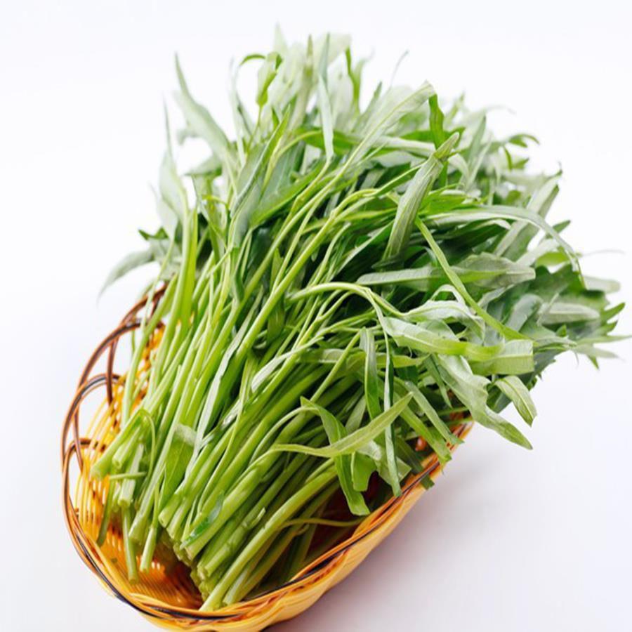 Hạt giống ra muống tre lá nhỏ 50gr/ gói trồng thừng xốp, thủy canh, gieo trồng quanh năm