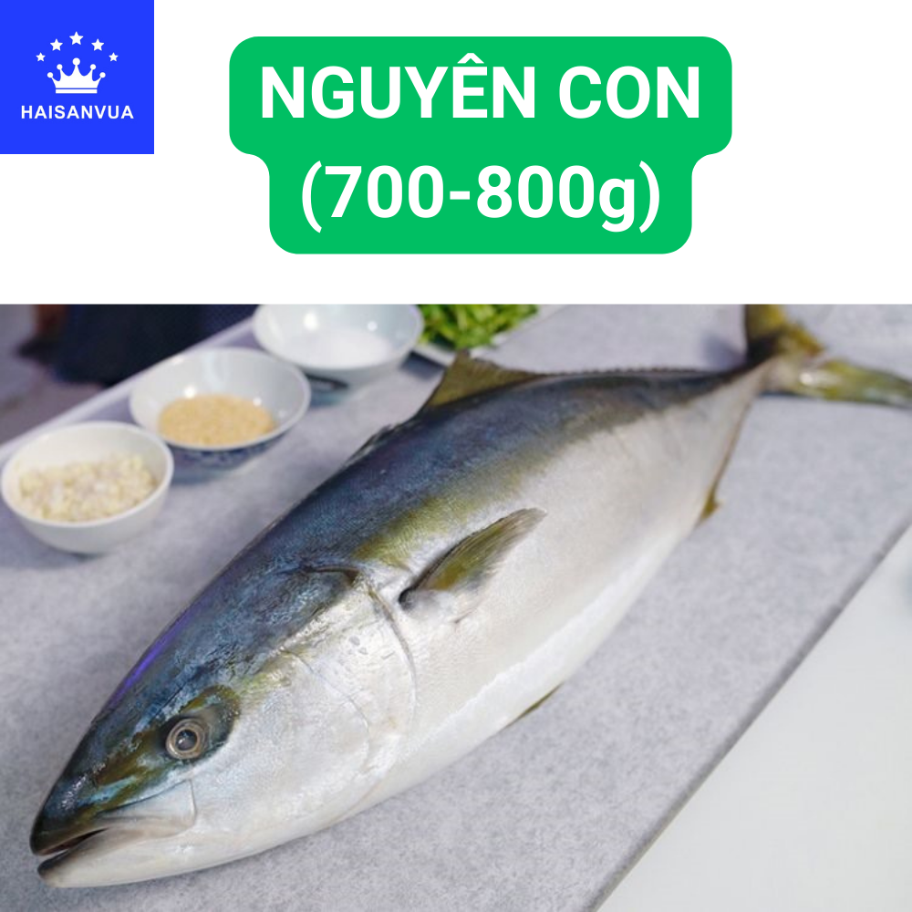 Cá cam Nhật HAISANVUA Nhập khẩu nguyên con Hàng tươi mới đông lạnh ngay trên tàu Trong lượng 700-800g Giao hỏa tốc Hồ Chí Minh
