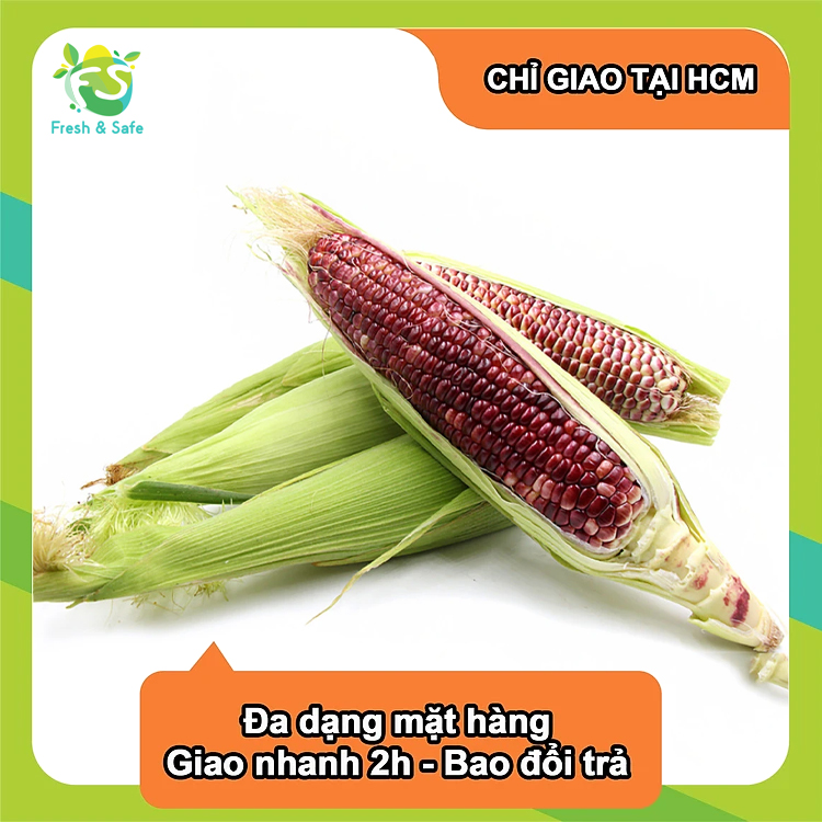 [Chỉ Giao HCM] Bắp Tím Nữ Hoàng - 1 trái