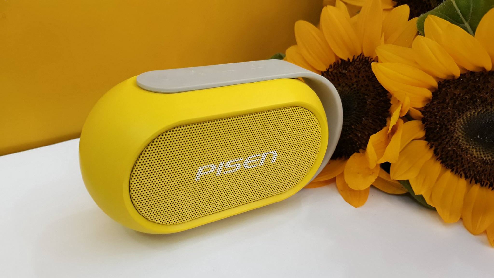 Loa di động Pisen Bluetooth 4.0 SPK-B002